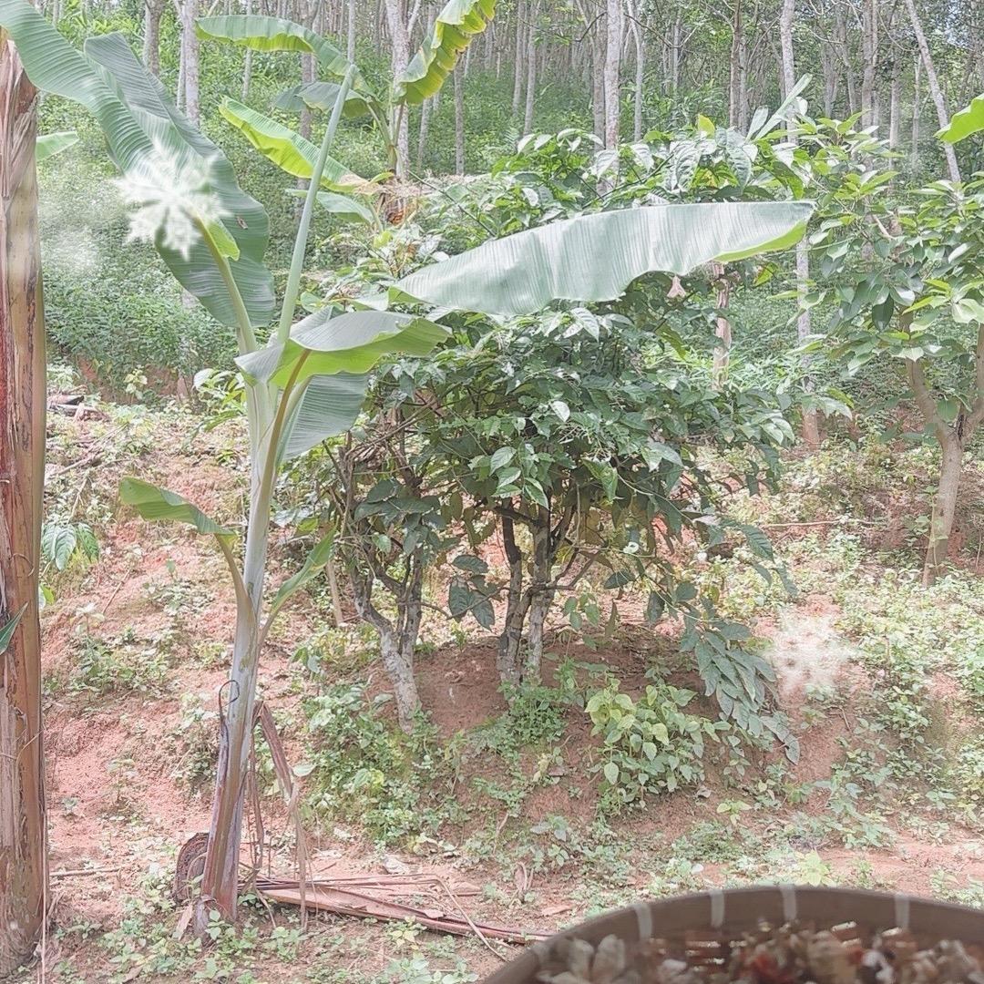 逝学深，笑意浅