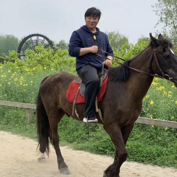 忠诚尽染秦外卖头像