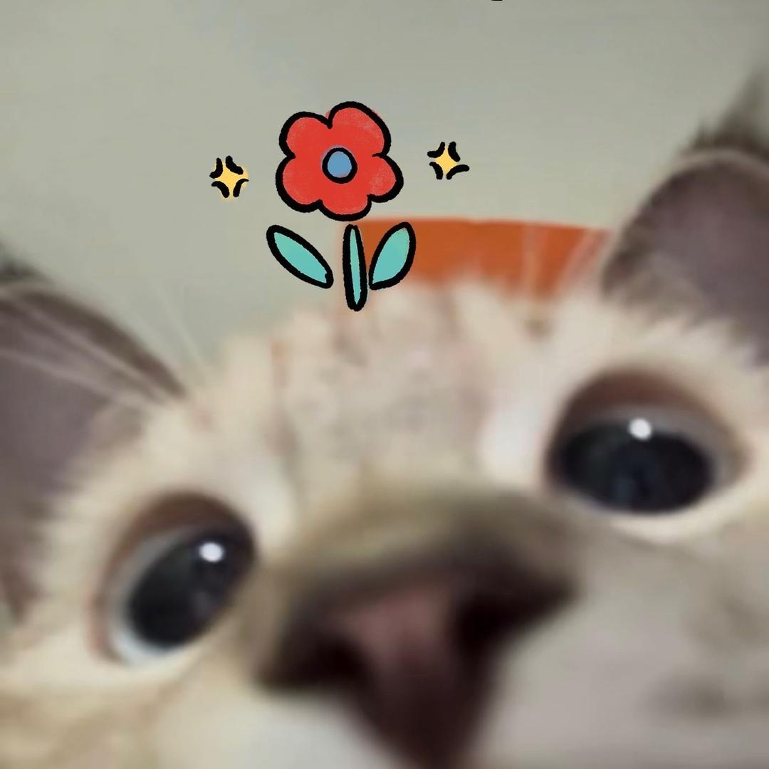 齐莹娟