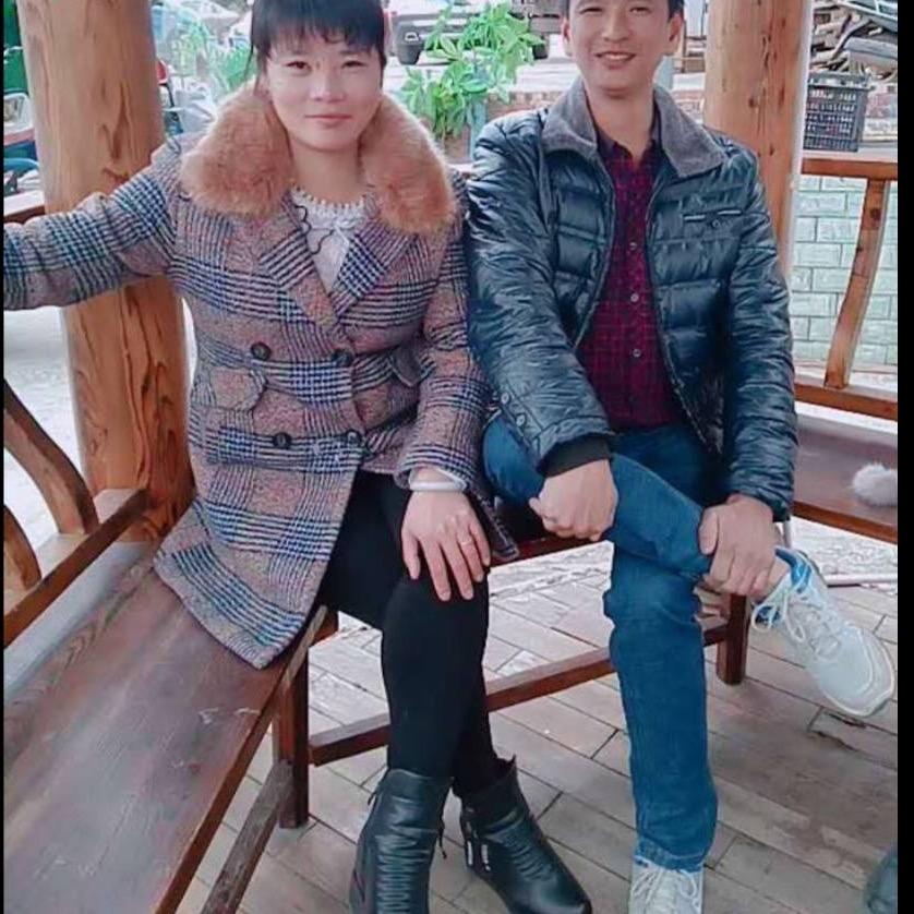 罗齐令