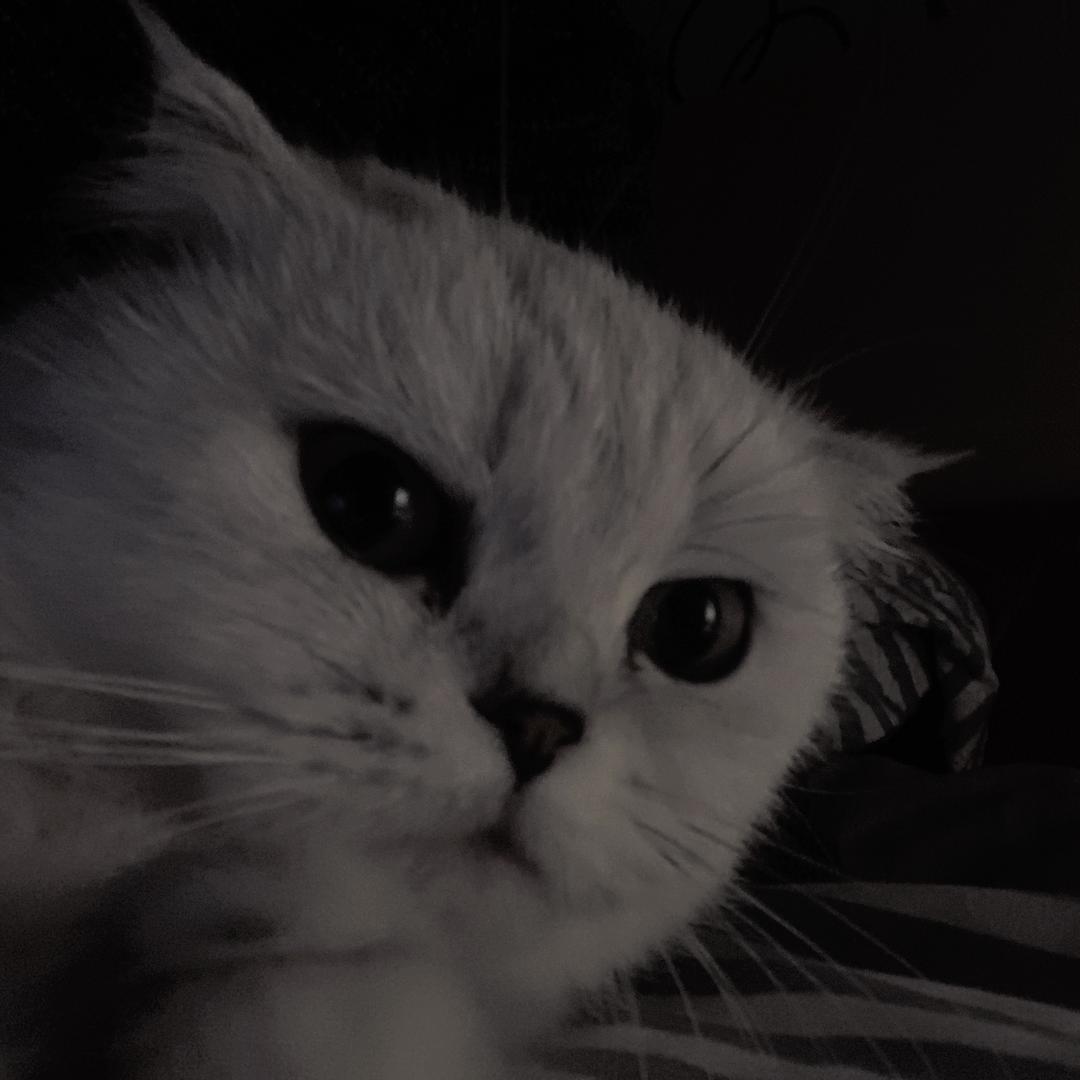 不吃鱼先生h