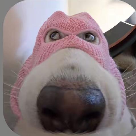 如果秒睡是天赋