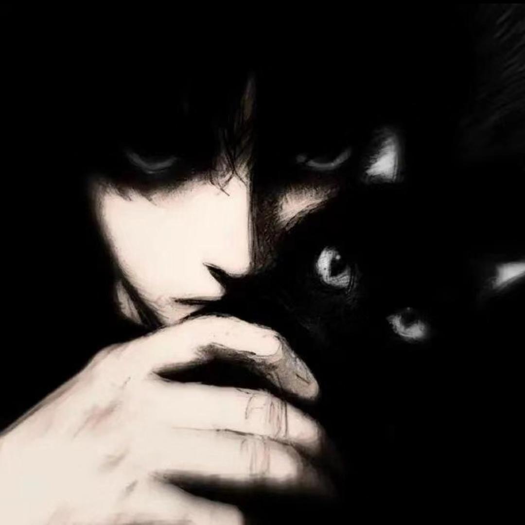 北岸(三角洲行动)