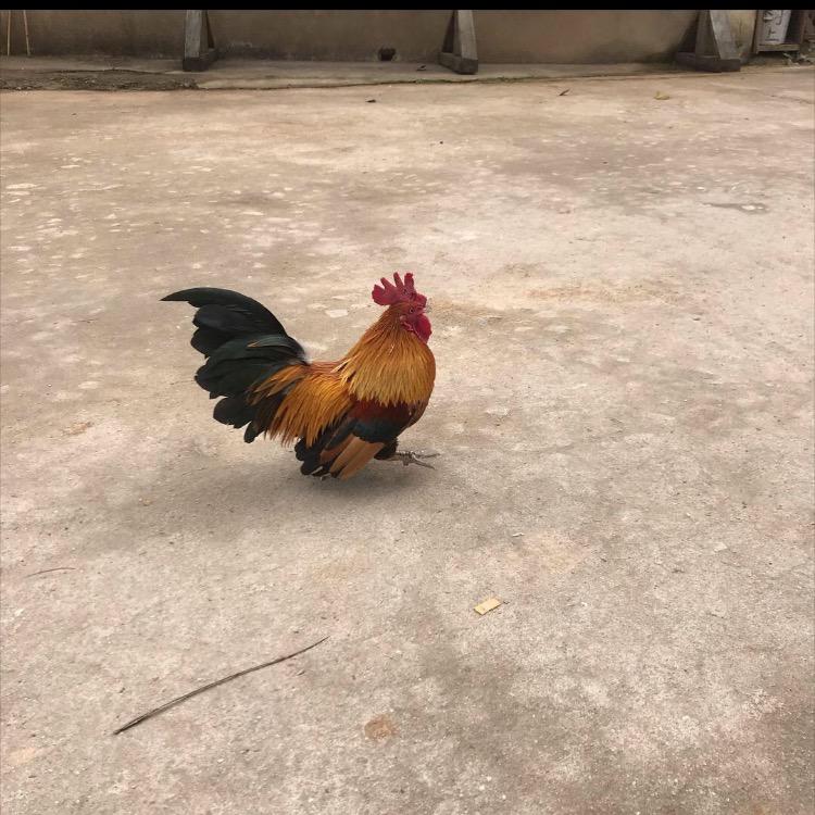 我们一起努力