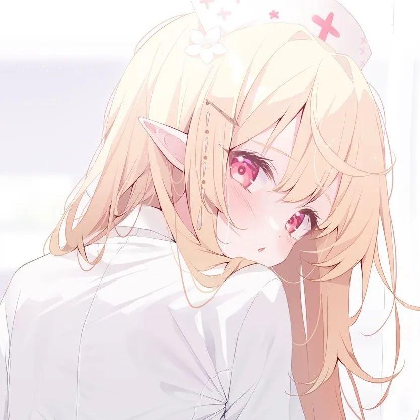 猫猫豆