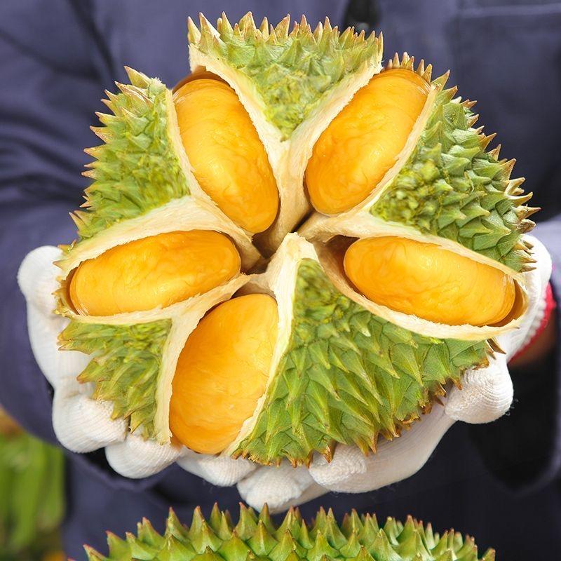 榴莲笙鲜臻选