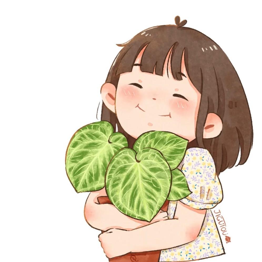 小鱼多肉园