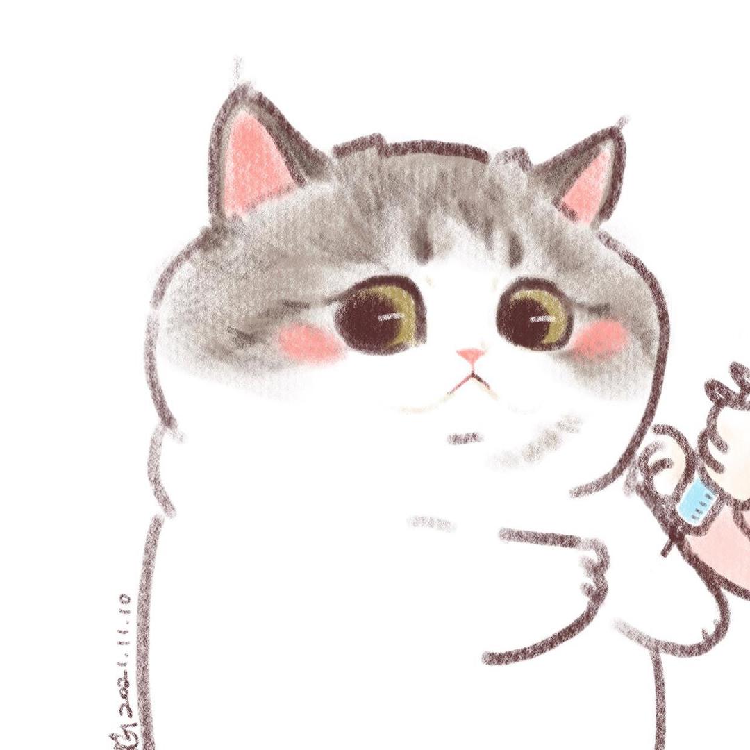 🍀🍀🍀🍀🍀🍀