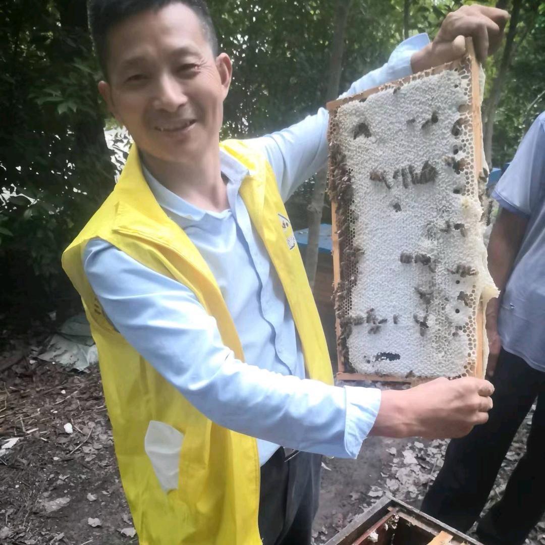 远大养蜂