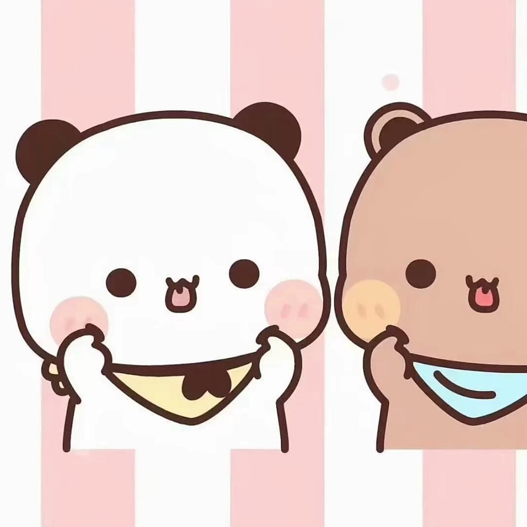 尊贵的猪猪大王