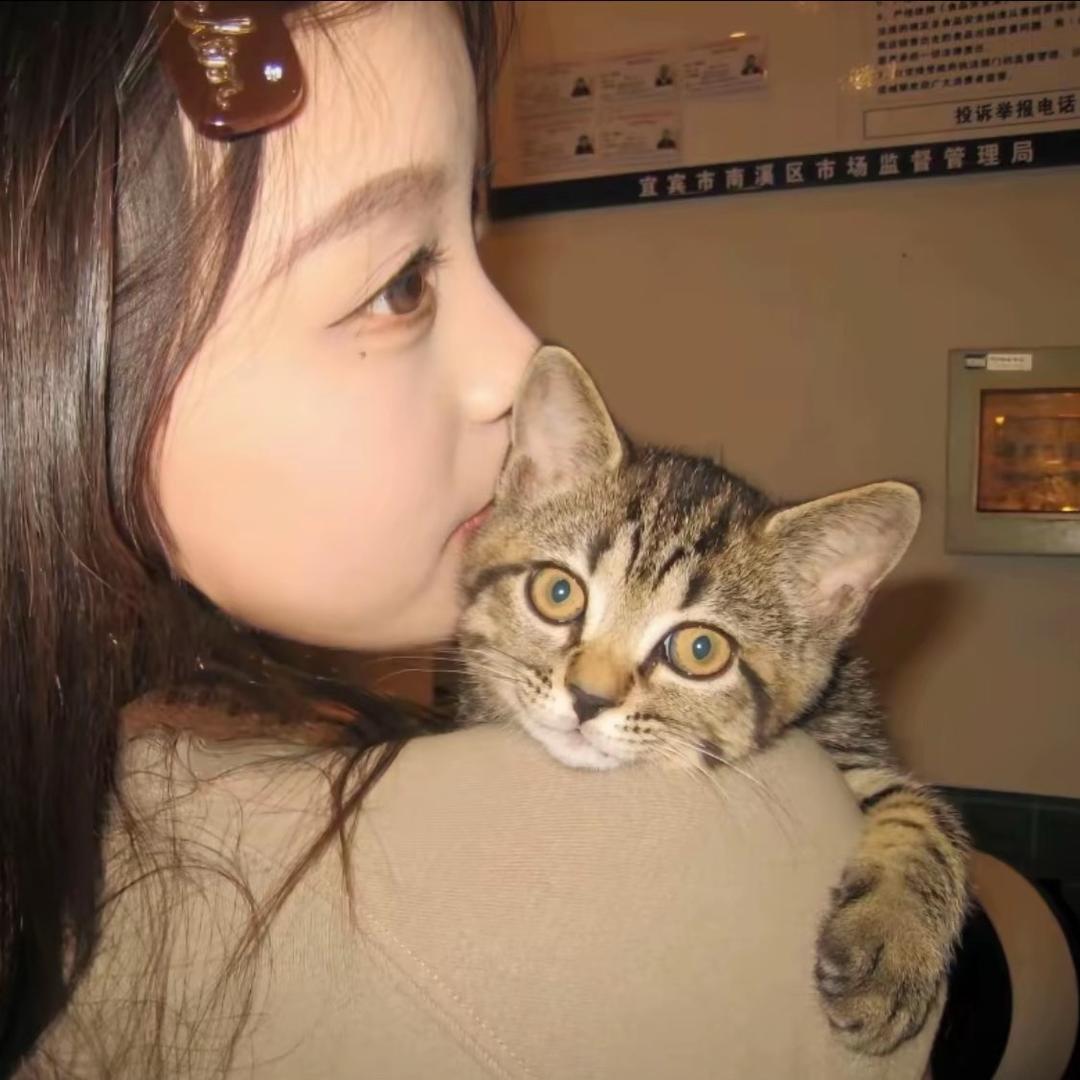 L晨溪