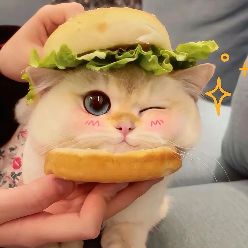 橘子