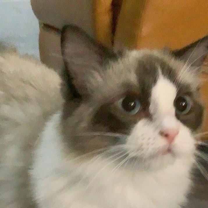 馨.