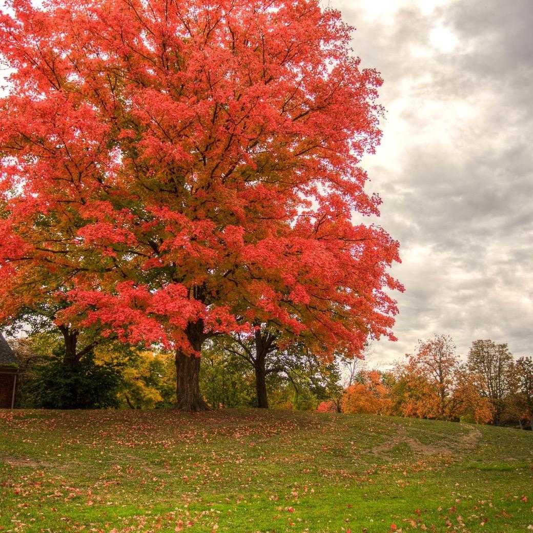 豫园酒店(原大众快餐)