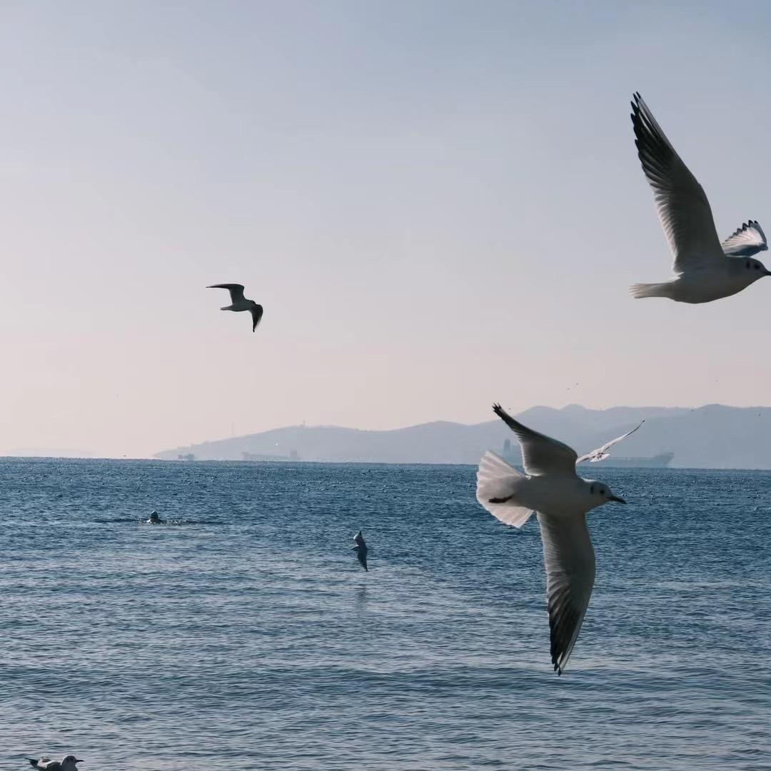 李泽枫