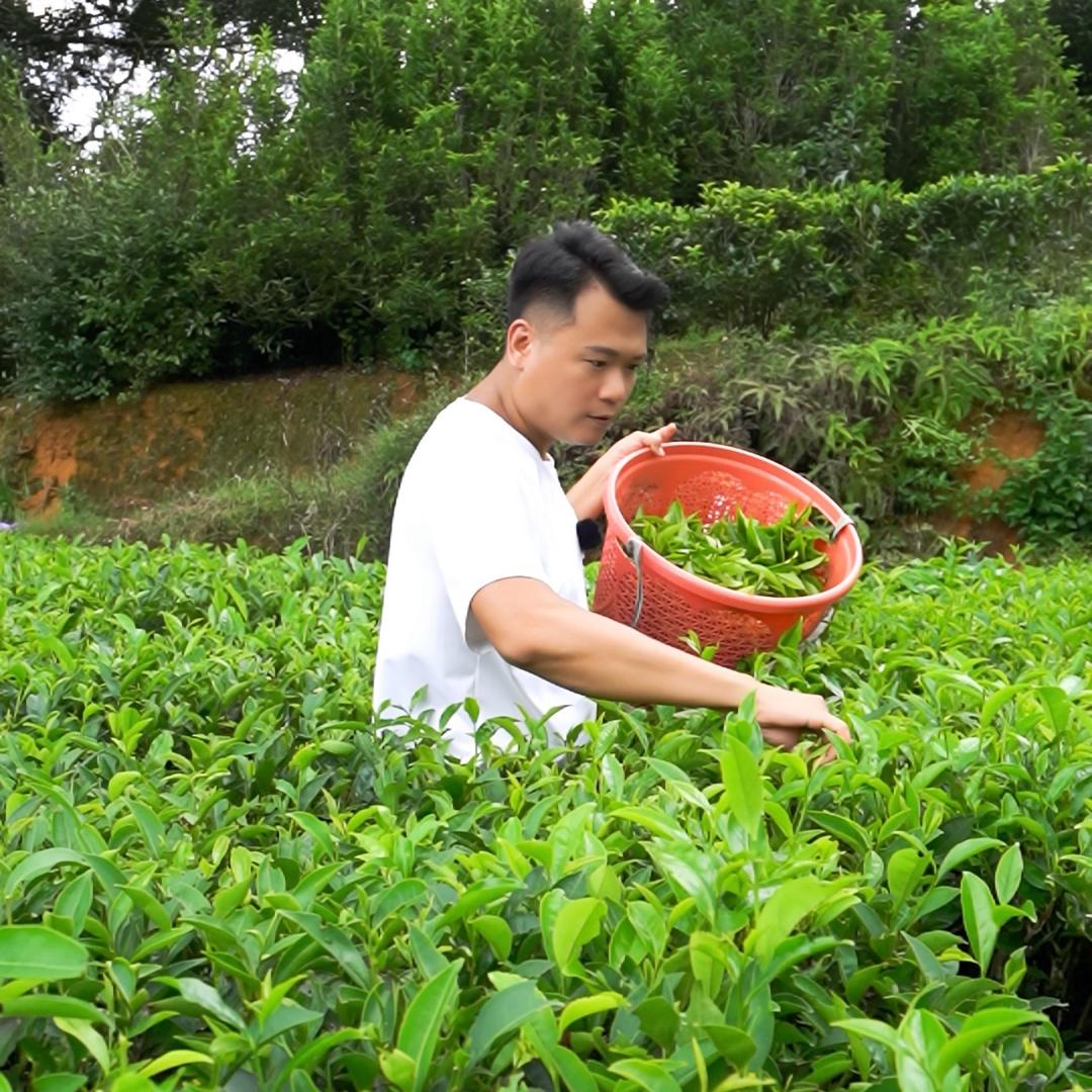 涧御尖潮州茶叶专卖店