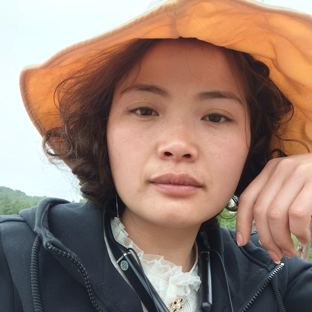 远嫁的燕子