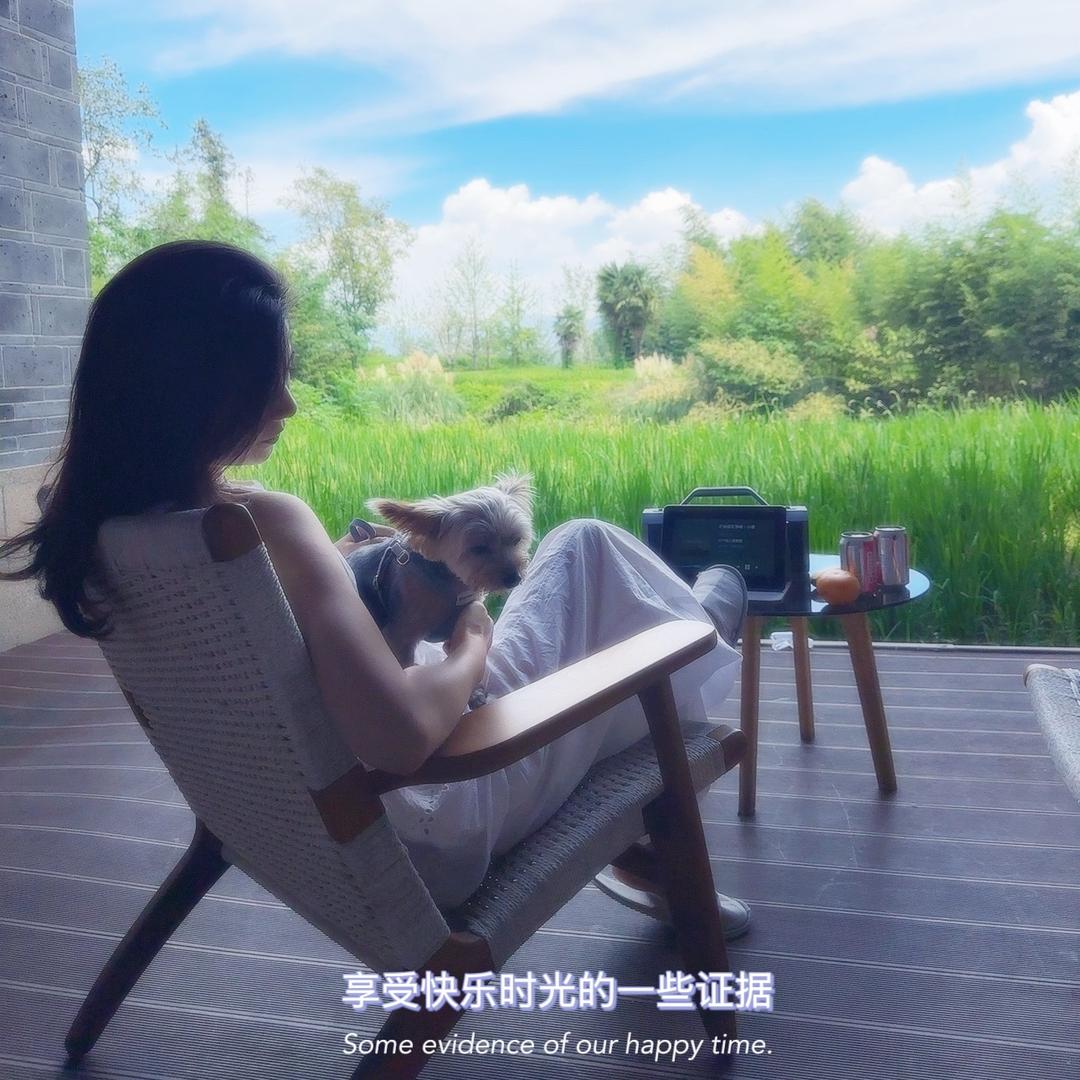 刘丹丹