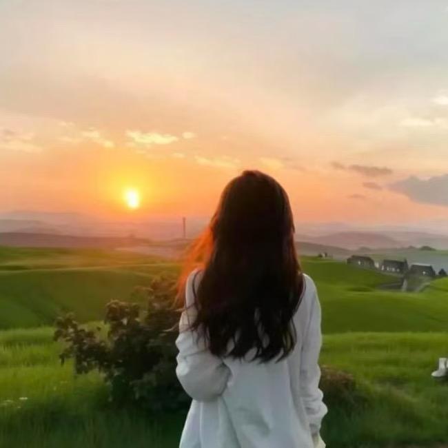 梧桐花