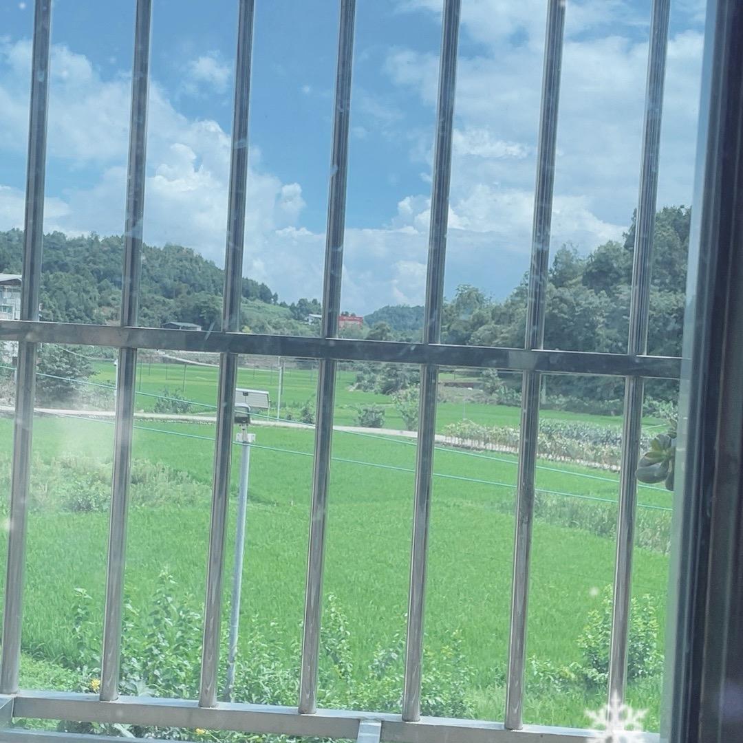 乡村杨家