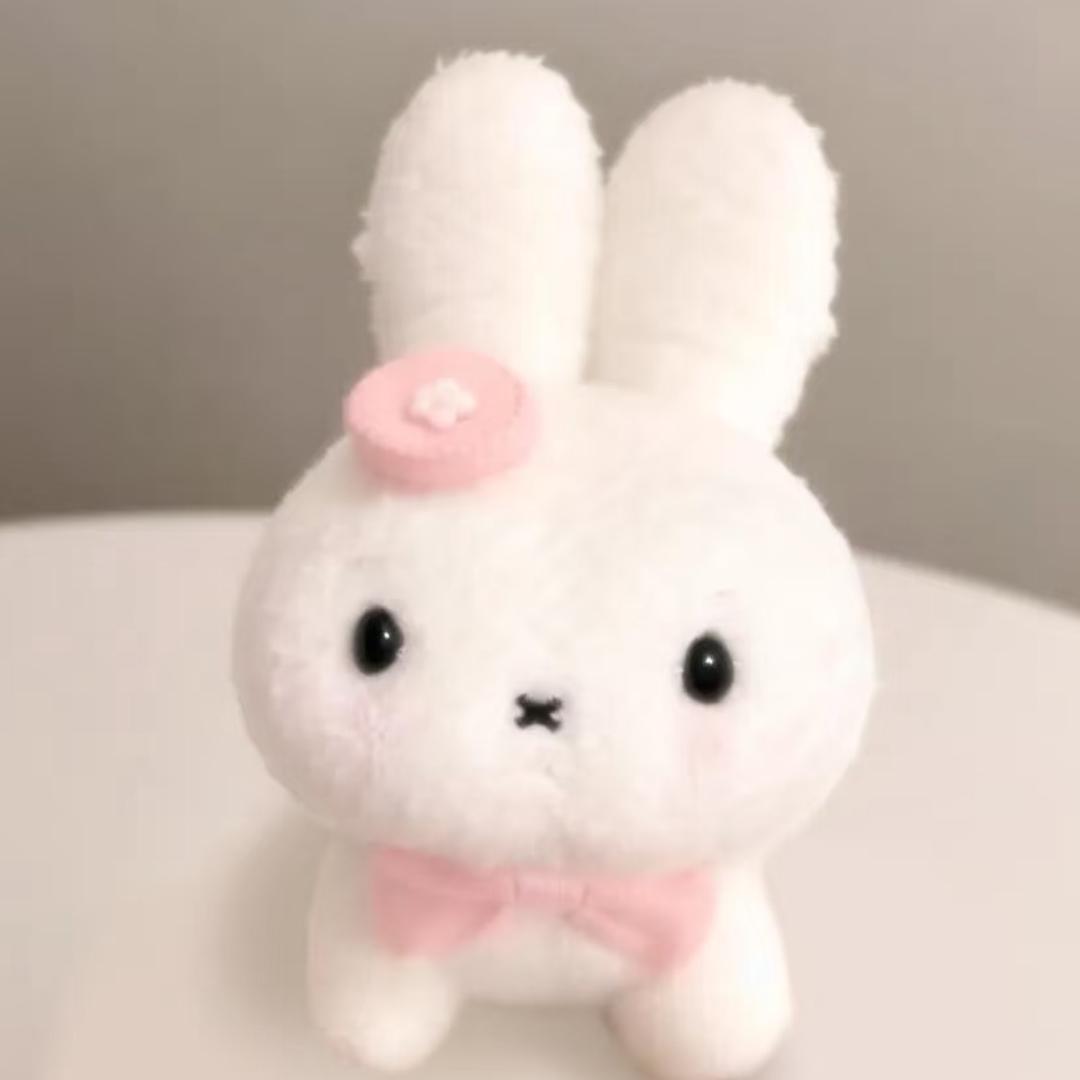 Qiuqiu你了