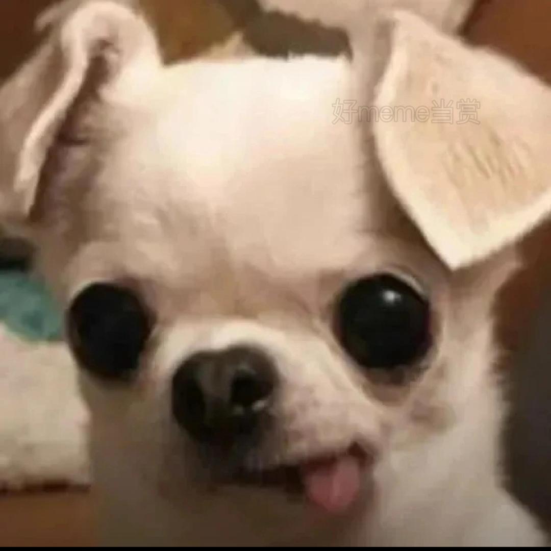 小吴困死了🥱