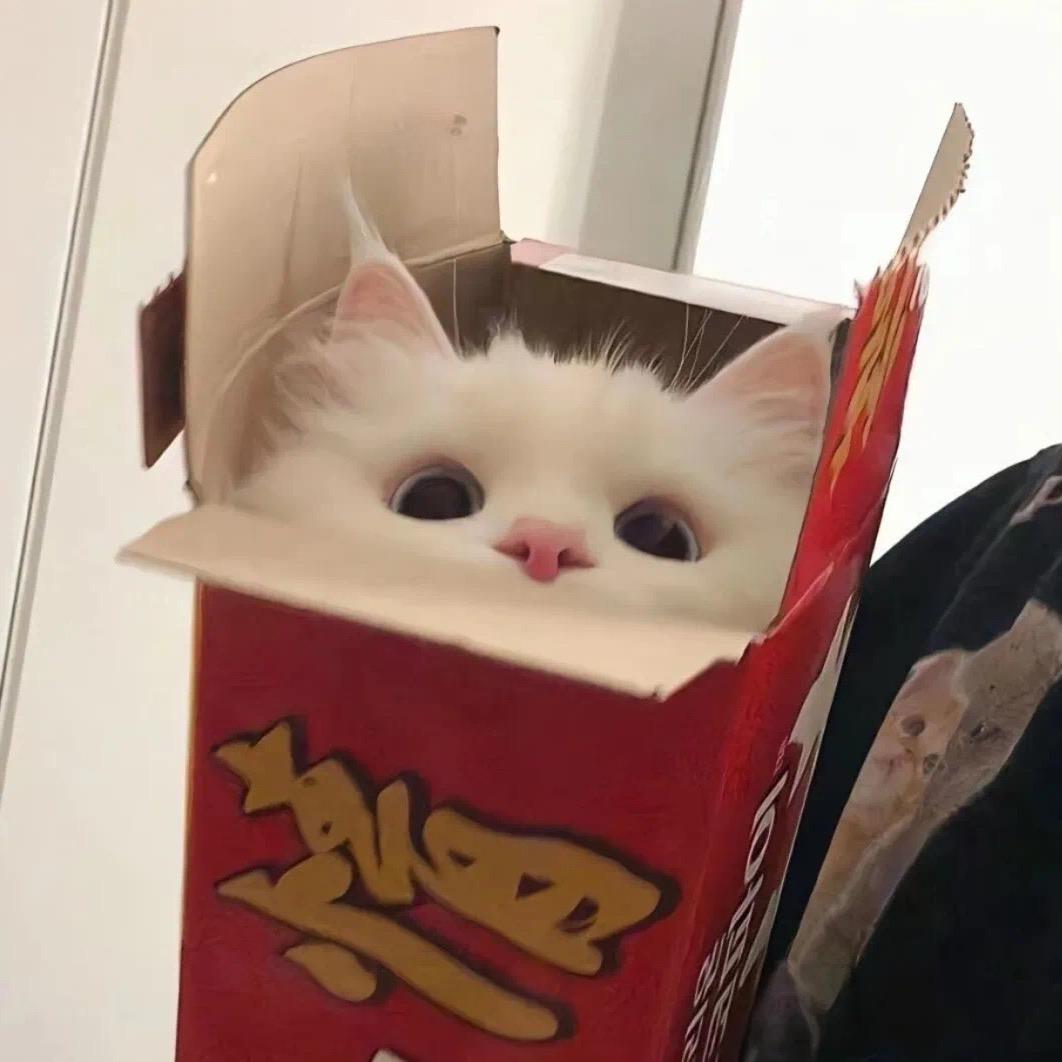 诺诺小松鼠