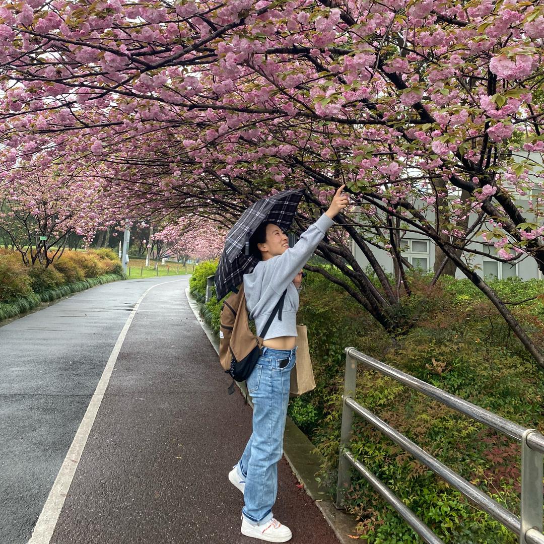 树杈上的小巫婆
