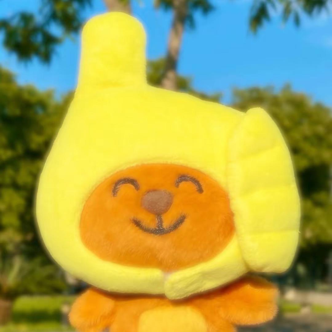 小当家>_<