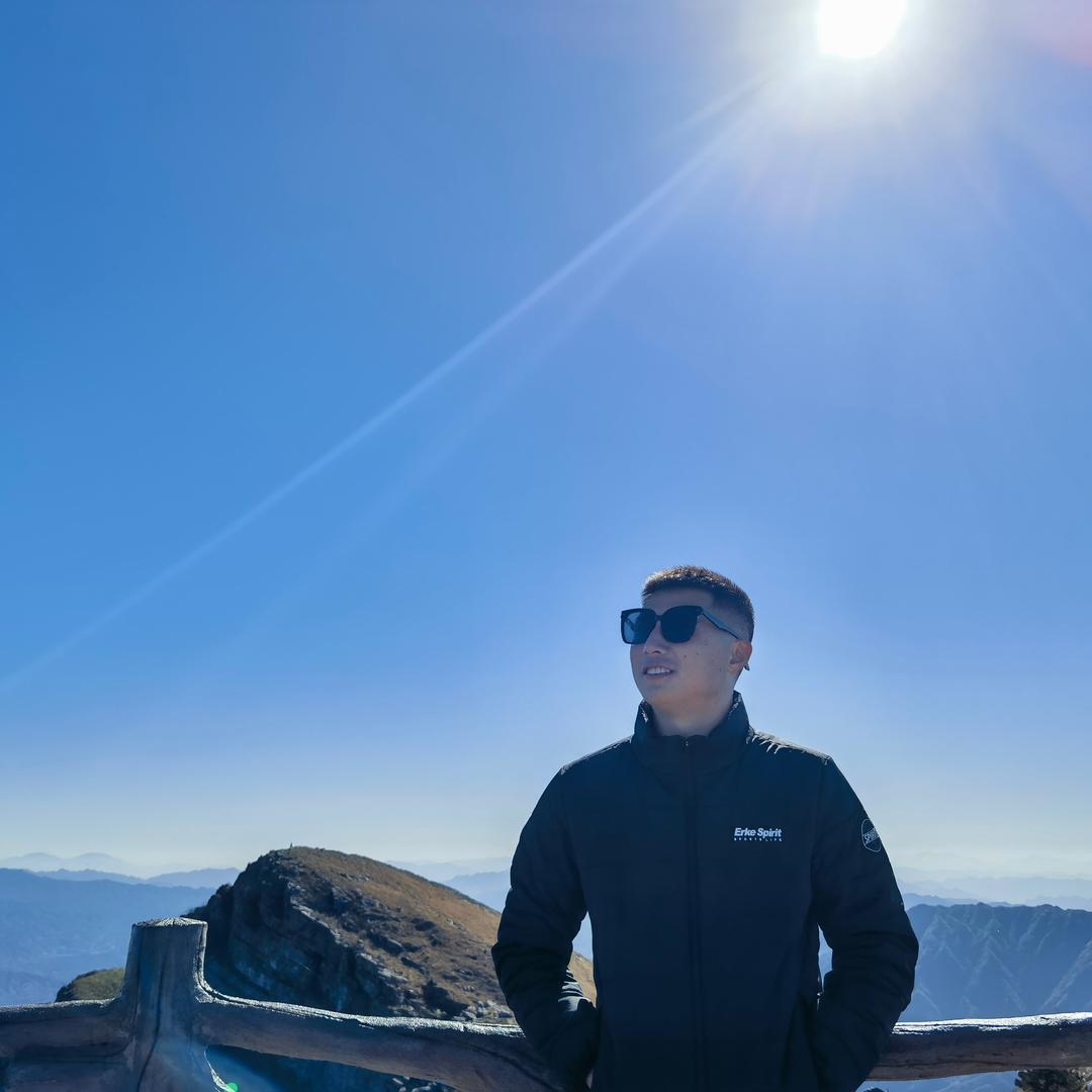 落叶只是无情物