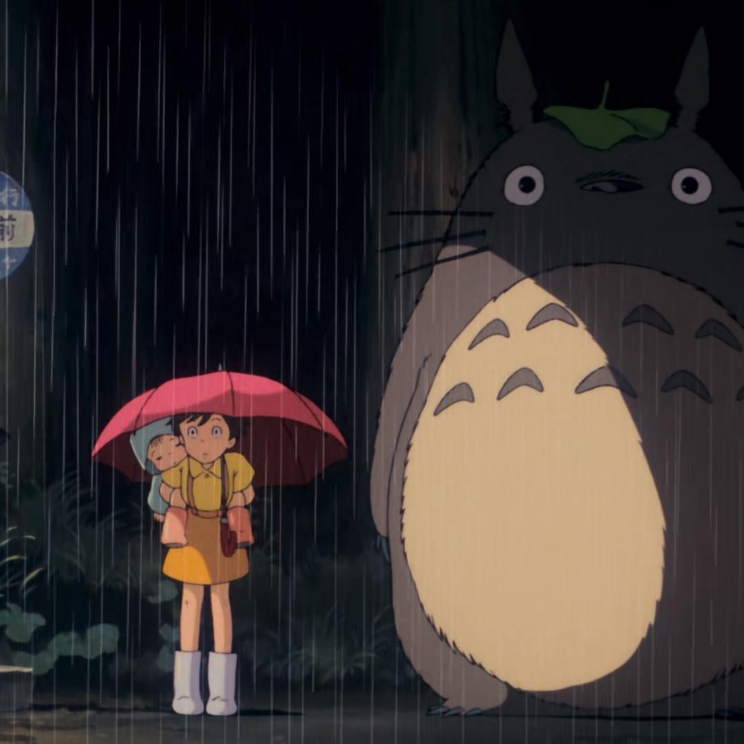 龙猫