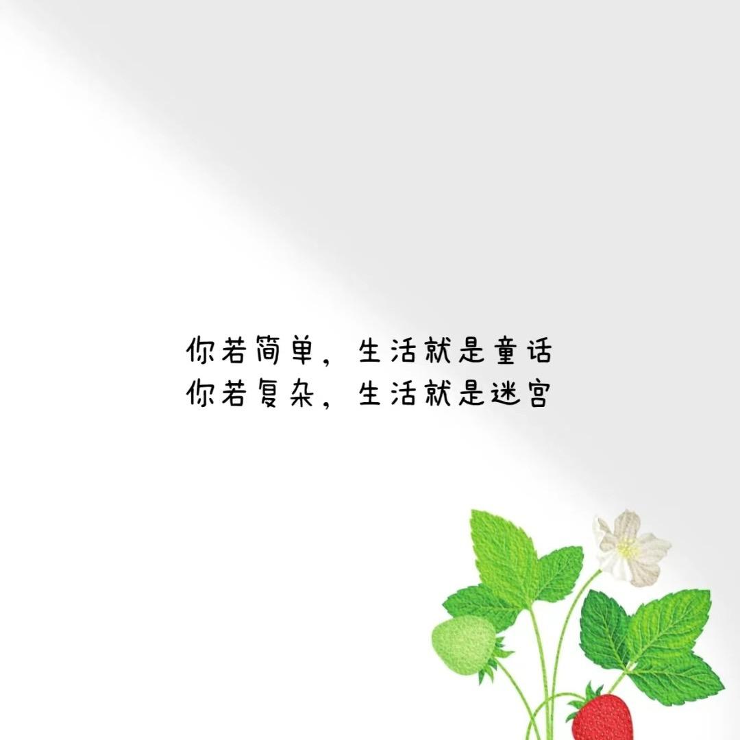 缺钙的慢羊羊🐏