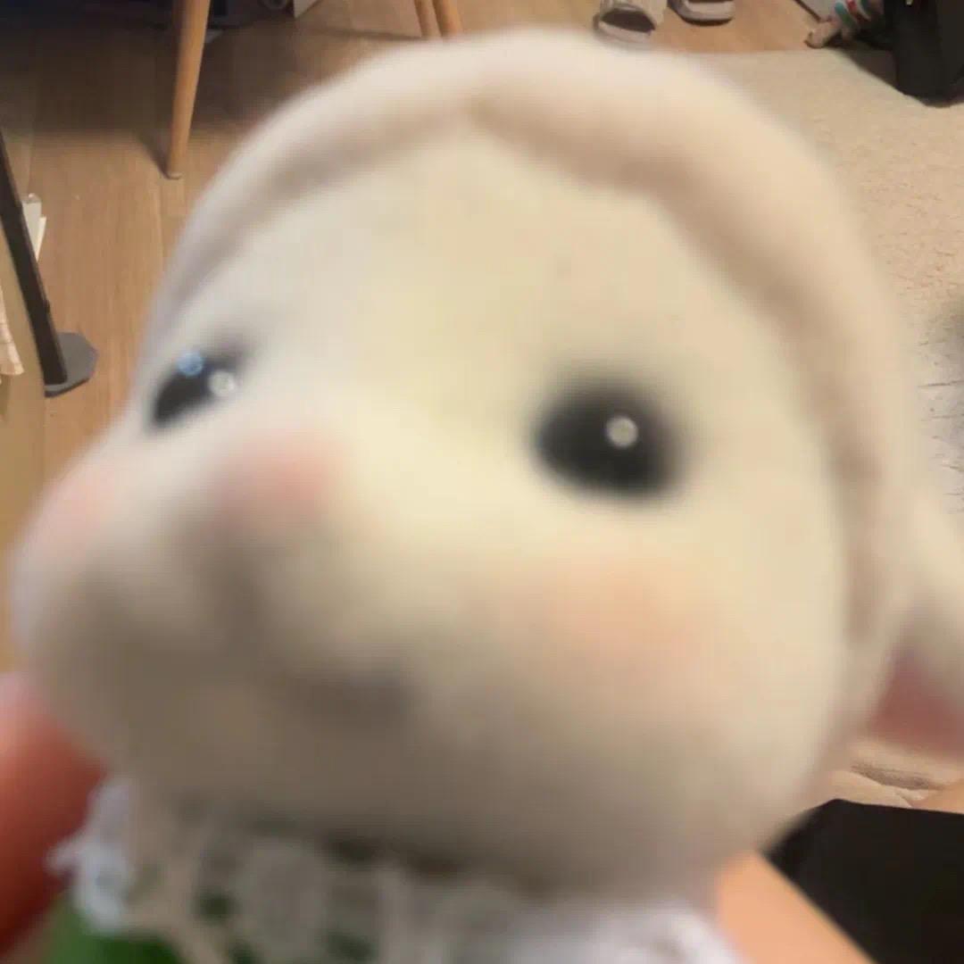 小余晚安