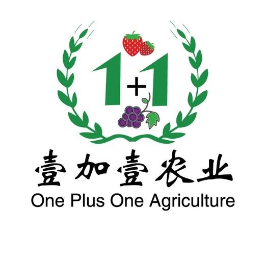 惠州市壹加壹金岸农业有限公司