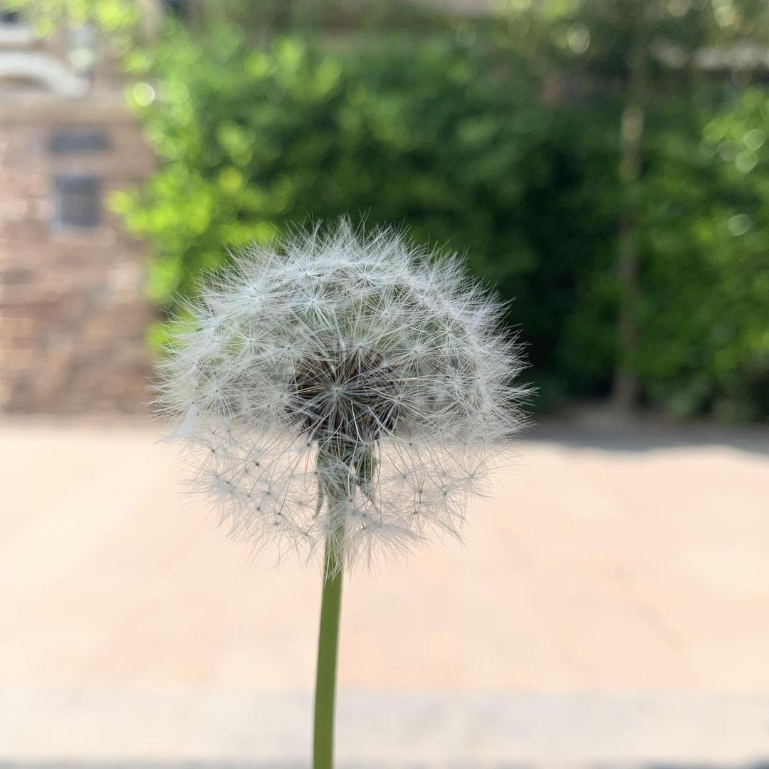 🌈*是小刘鸭🌈