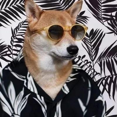 眼镜老炮儿