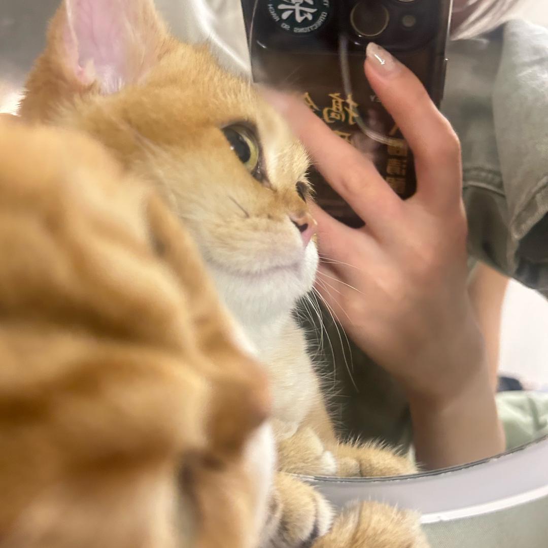 钱钱妈