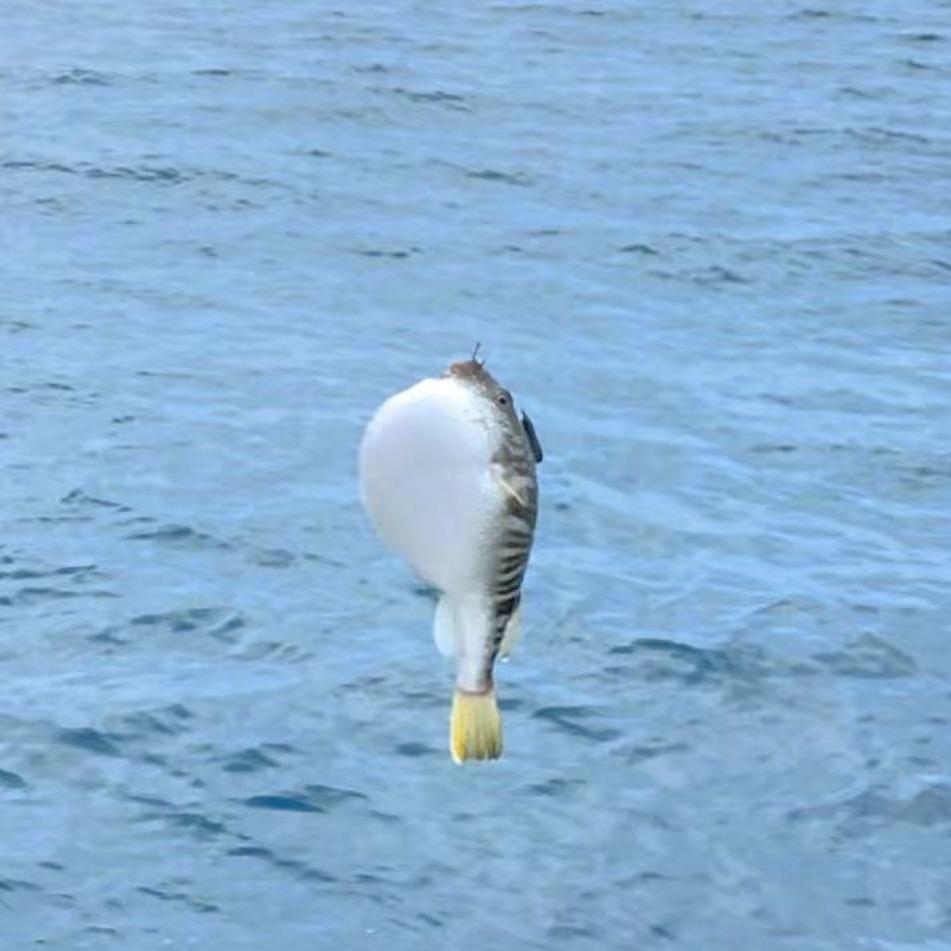 🌈阳光大男孩^_^