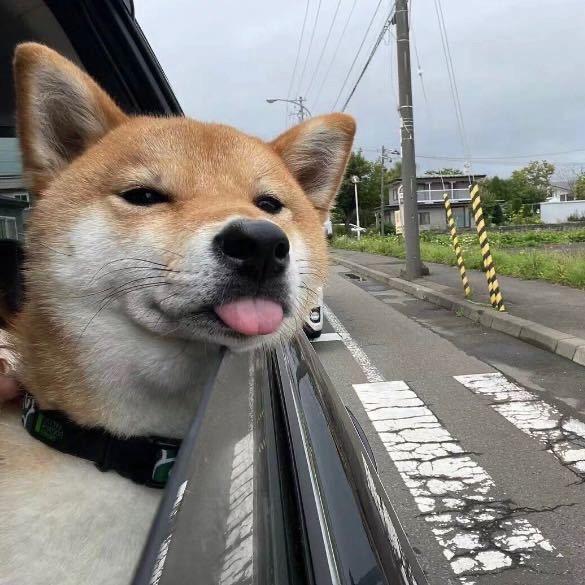 不认识