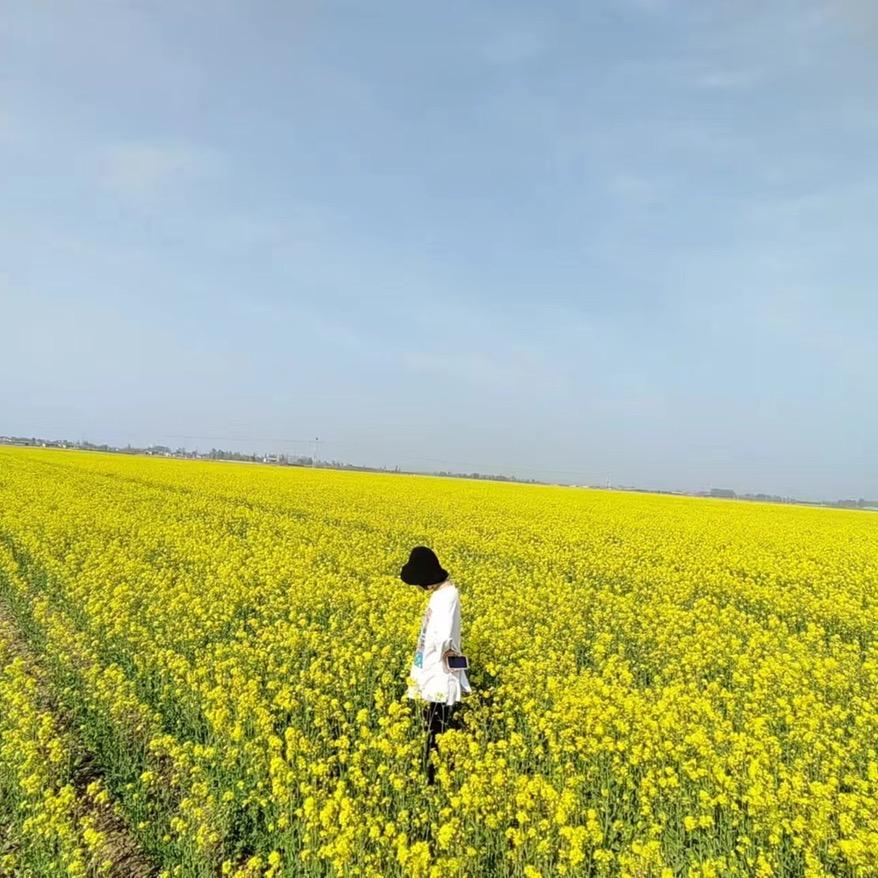 🥬多多🧧🥬多