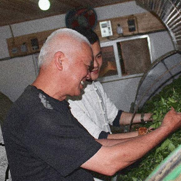 岩者茶叶旗舰店@抖音