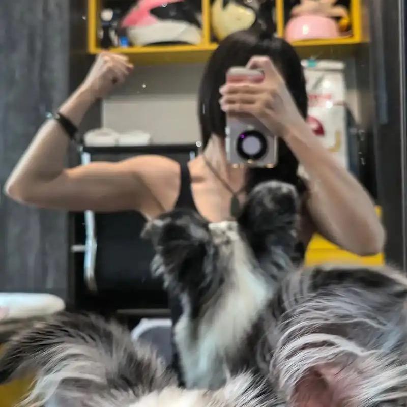 健身姐和毛孩们的旅居生活135