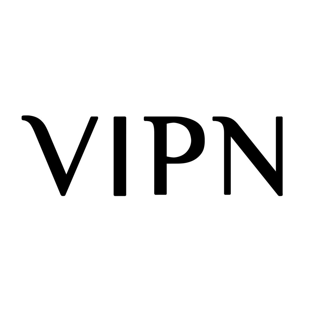 VIPN国际男鞋授权店