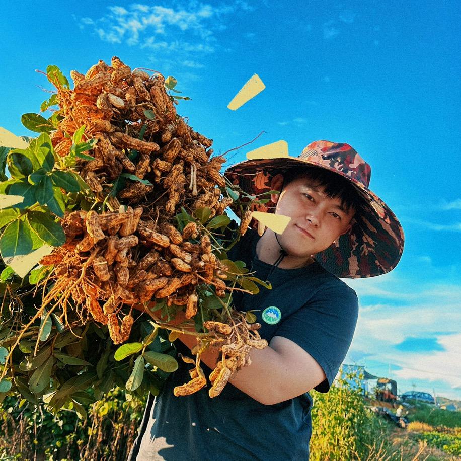 云南文山七彩花生（子笠）