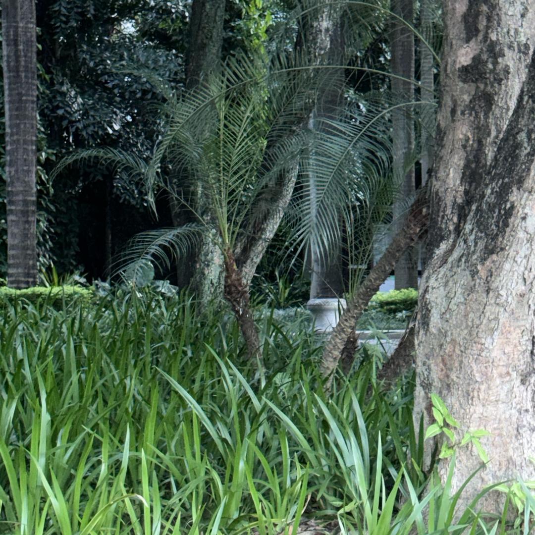 一叶知秋 春夏秋冬