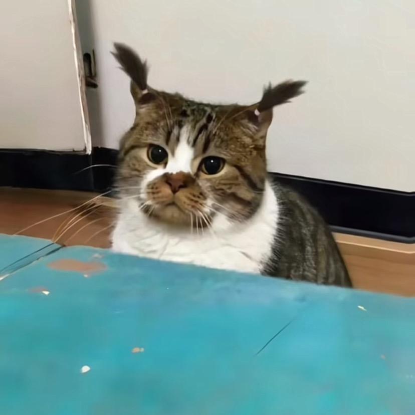 冷静非凡化身