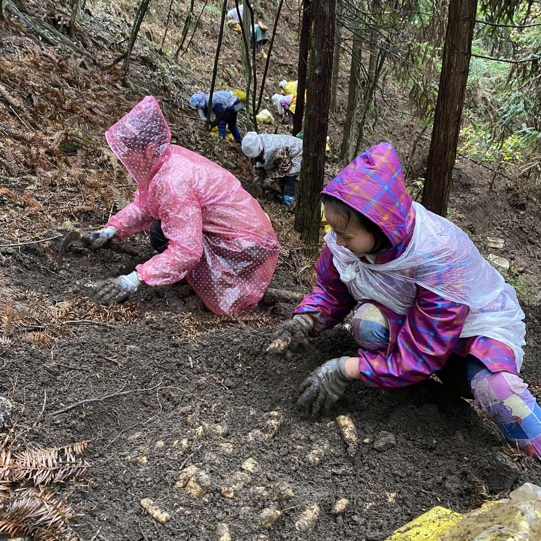 黎平青江农业天麻基地大号
