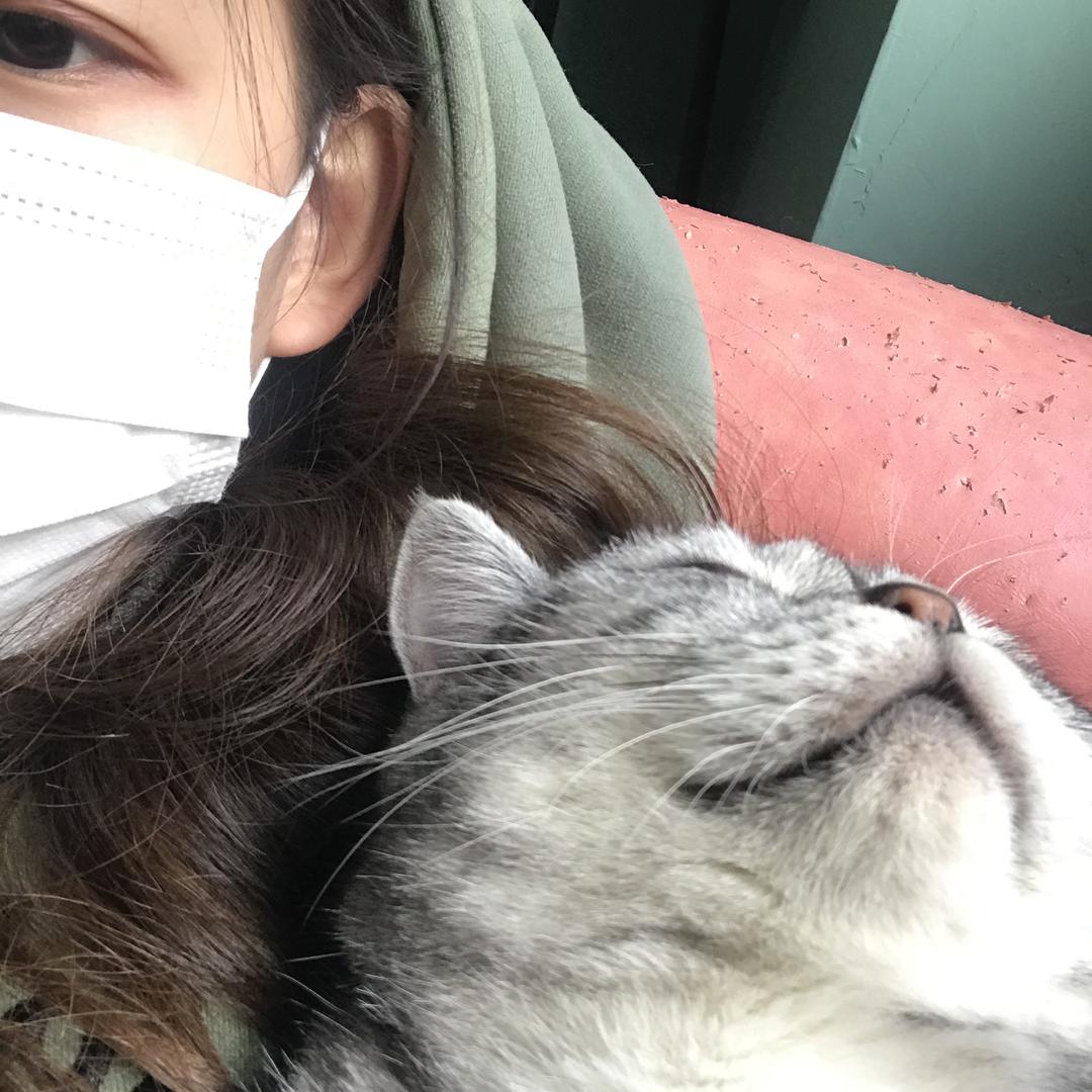 奶酪🧀️