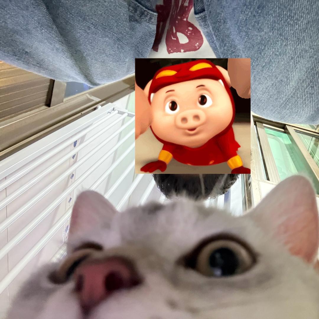 +
