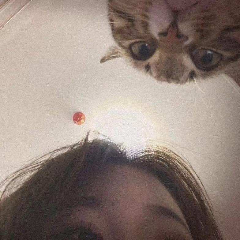 亚力克桑